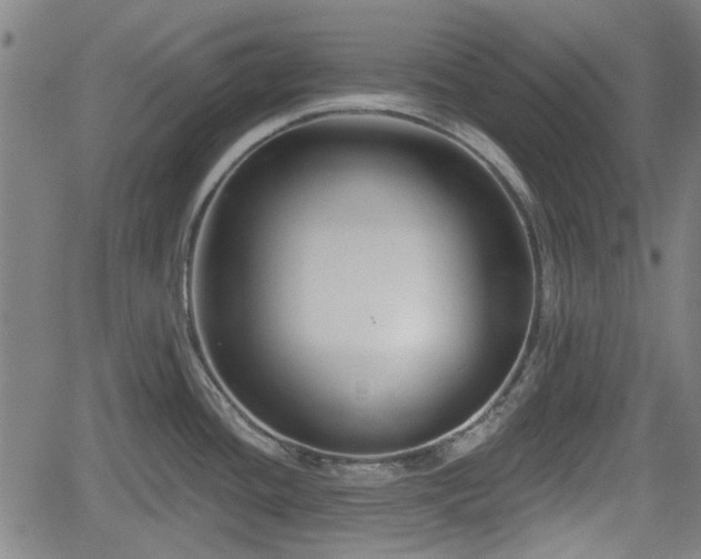 X0000061751436200512050857