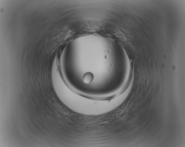 X0000061751442200512050856