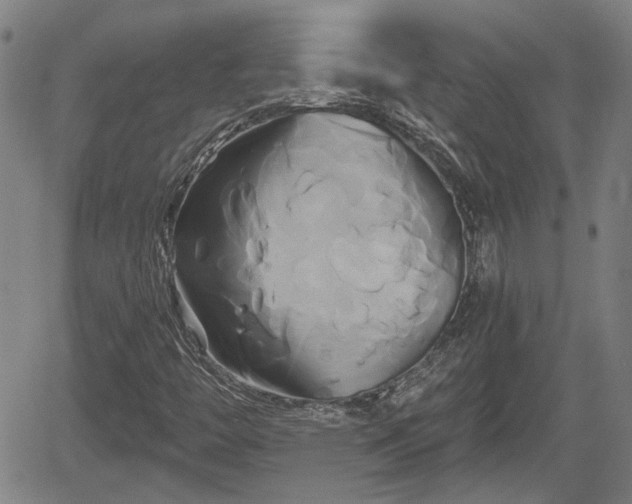 X0000061751446200512050856
