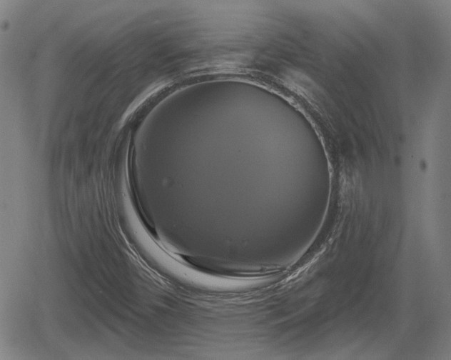 X0000061751450200512050856