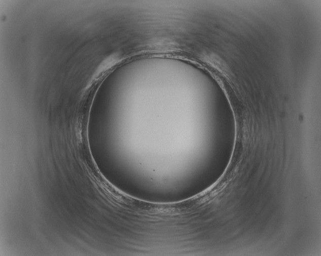 X0000061751451200512050856