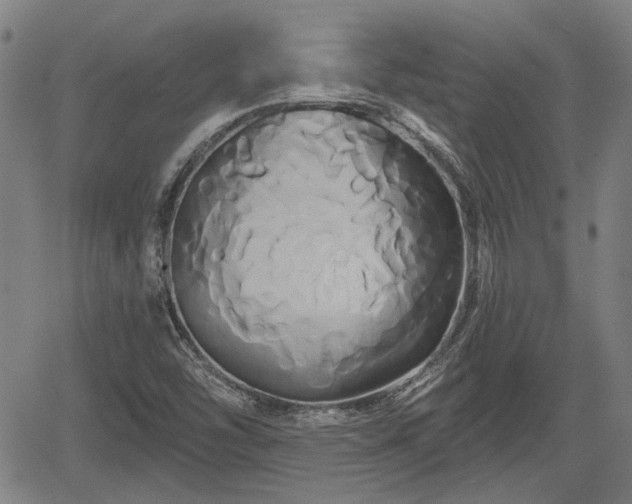 X0000061751454200512050856