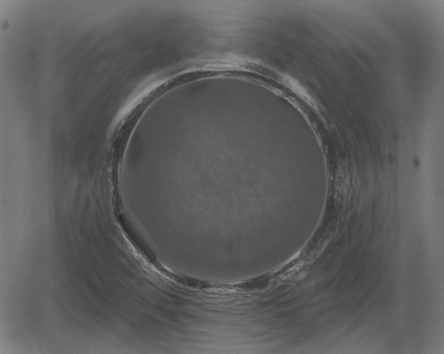 X0000061751456200512050856