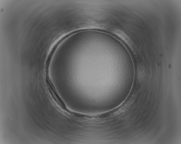 X0000061751460200512050856