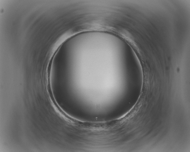 X0000061751479200512050855