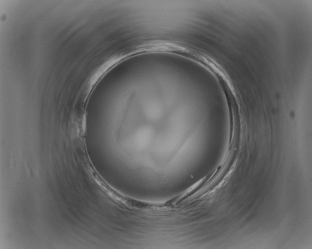 X0000061751481200512050855