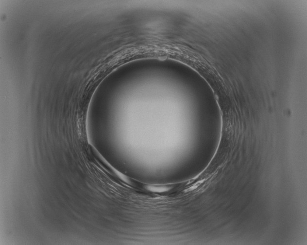X0000061751490200512050854