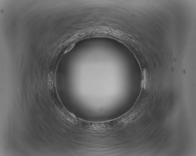 X0000061751491200512050854