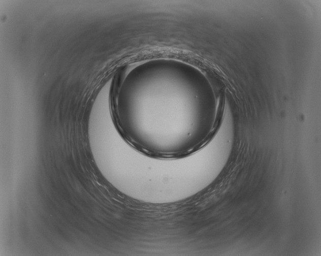 X0000061751492200512050854