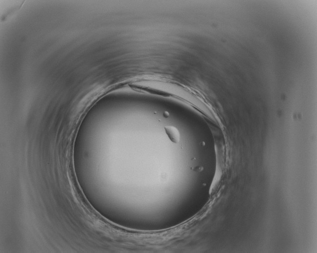 X0000061750001200512091647