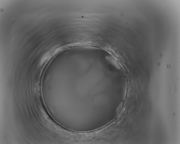 X0000061750002200512091647