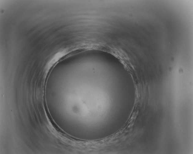 X0000061750003200512091647