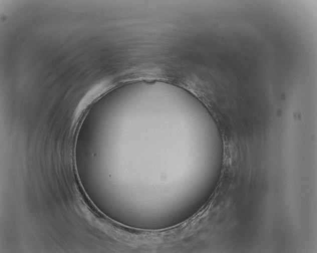 X0000061750004200512091647