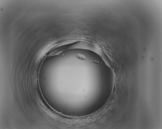 X0000061750005200512091647