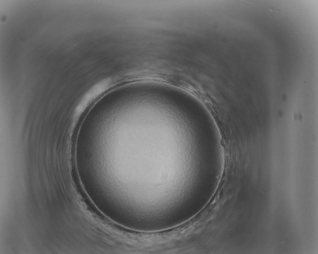 X0000061750006200512091647