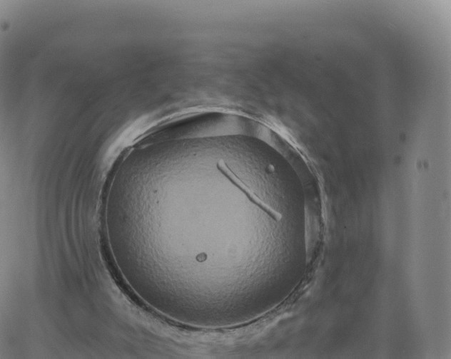 X0000061750007200512091647