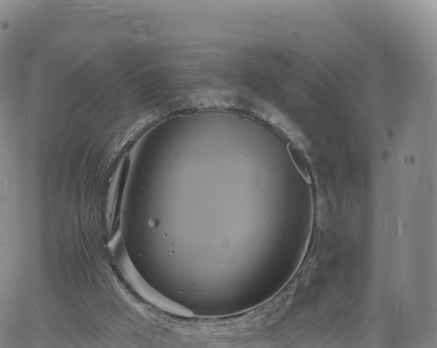 X0000061750009200512091647