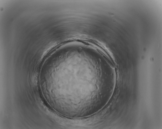 X0000061750010200512091647