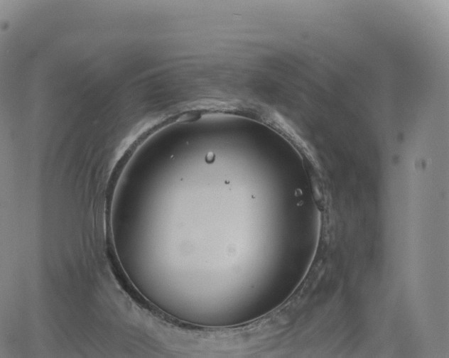 X0000061750011200512091647