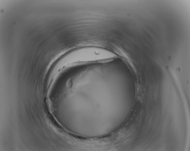 X0000061750012200512091647