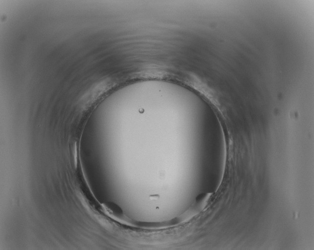 X0000061750013200512091647