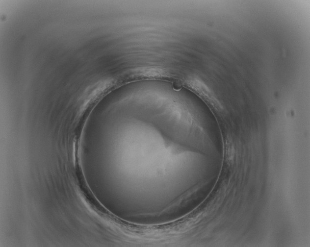 X0000061750014200512091647