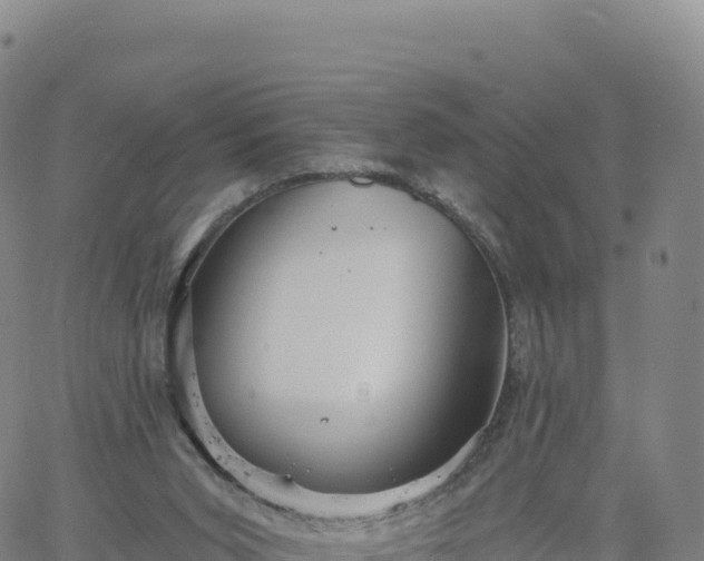 X0000061750015200512091647