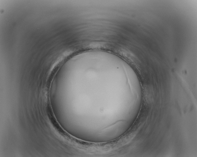 X0000061750016200512091647