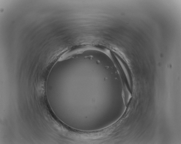 X0000061750017200512091647