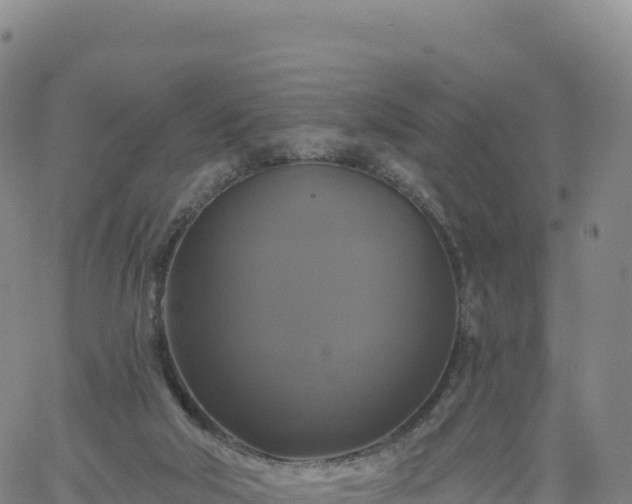 X0000061750018200512091647