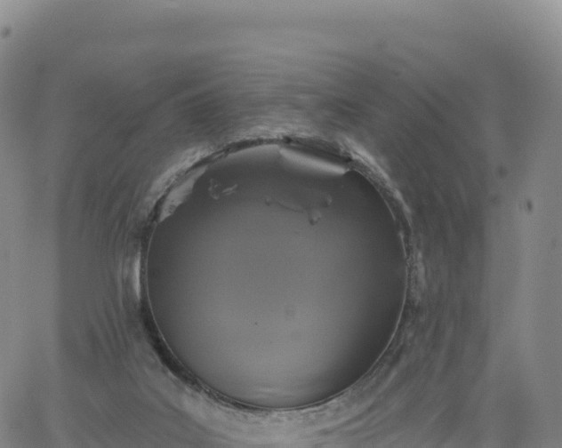 X0000061750019200512091647