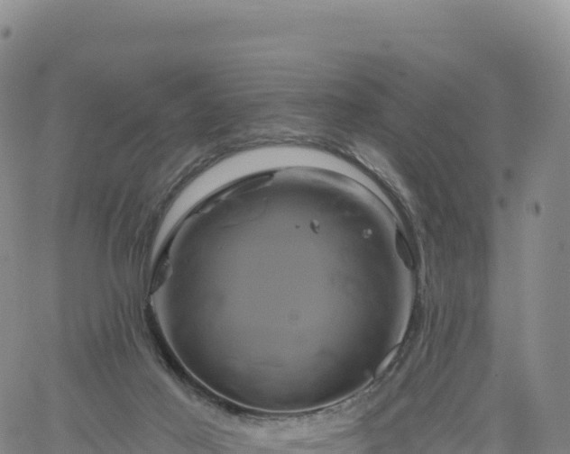 X0000061750021200512091647