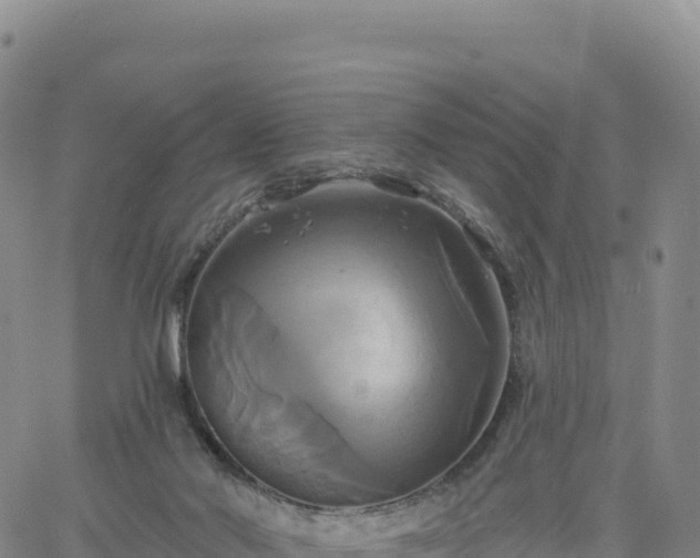 X0000061750022200512091647