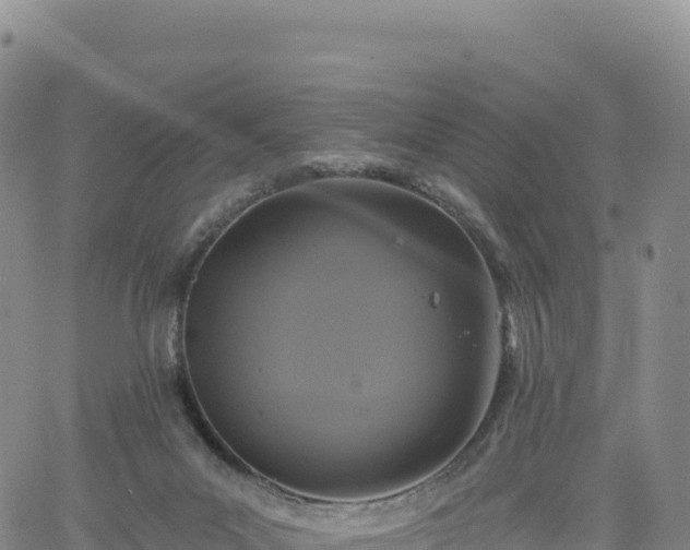 X0000061750023200512091647