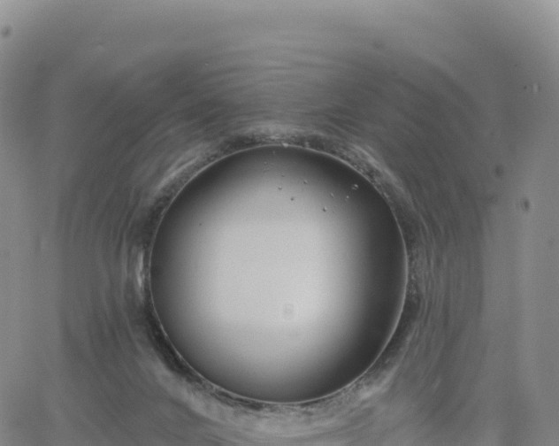 X0000061750024200512091647