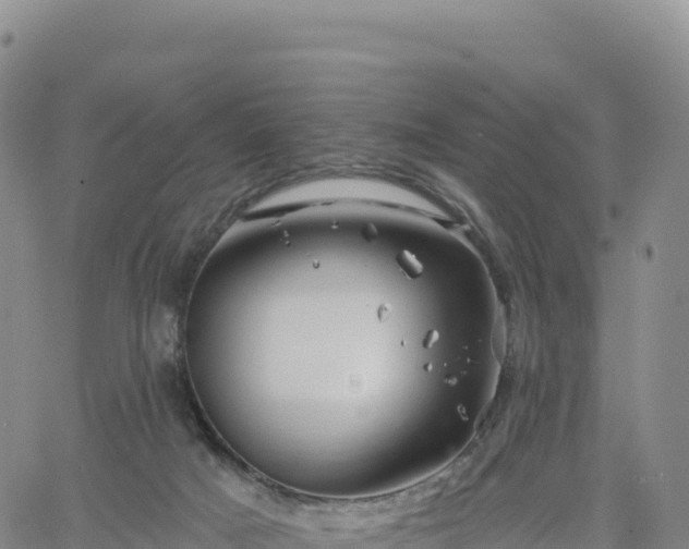 X0000061750025200512091647