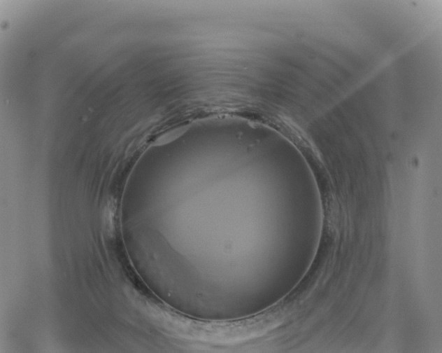 X0000061750026200512091647