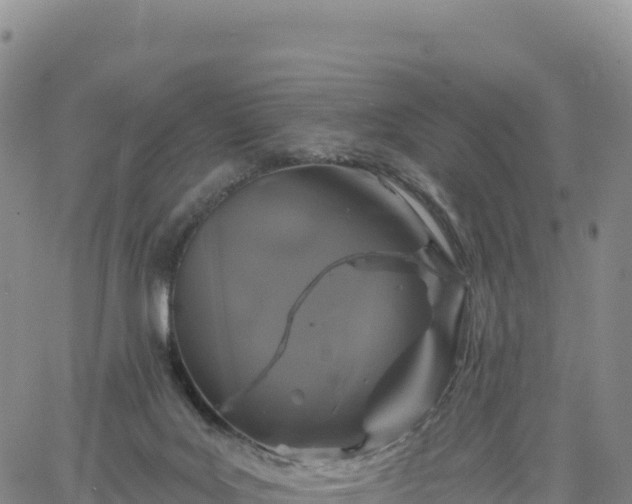 X0000061750027200512091647