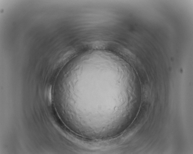 X0000061750028200512091647