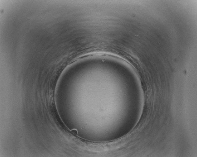 X0000061750029200512091647