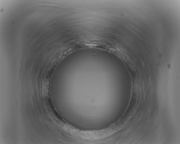 X0000061750030200512091647