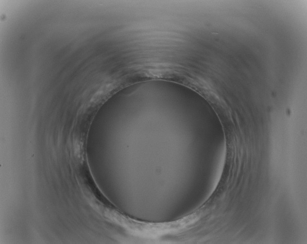 X0000061750031200512091647