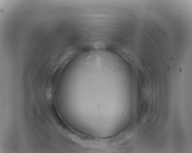 X0000061750032200512091647