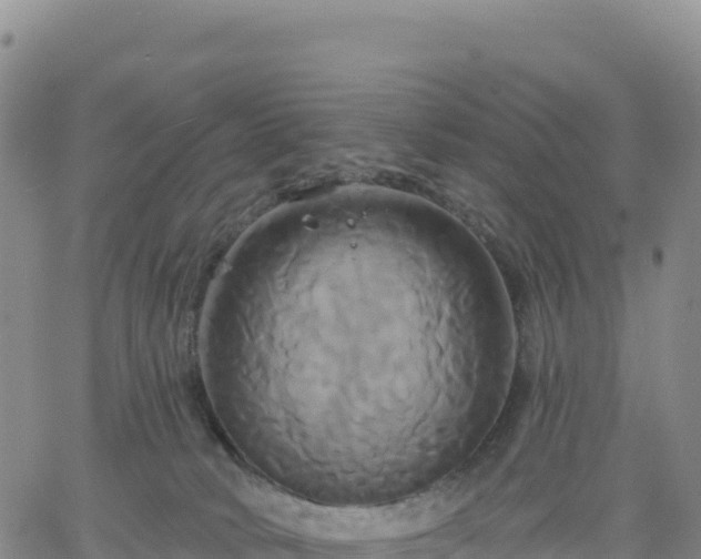 X0000061750034200512091647