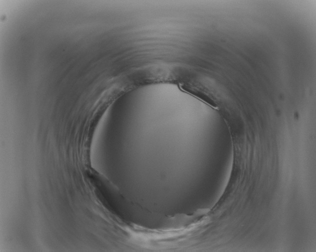 X0000061750035200512091647