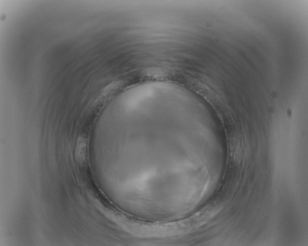 X0000061750036200512091647