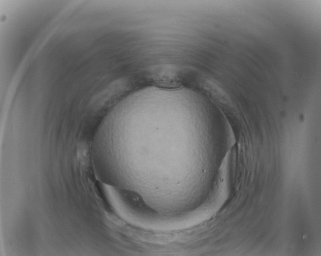 X0000061750037200512091647