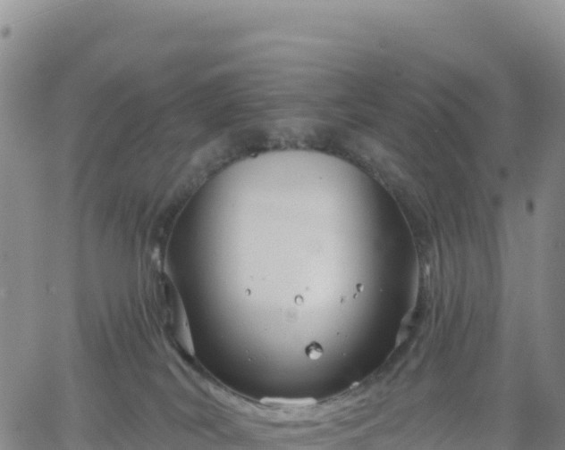 X0000061750038200512091647