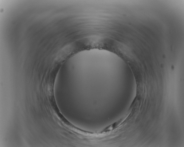 X0000061750039200512091647