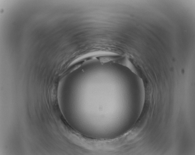 X0000061750040200512091647